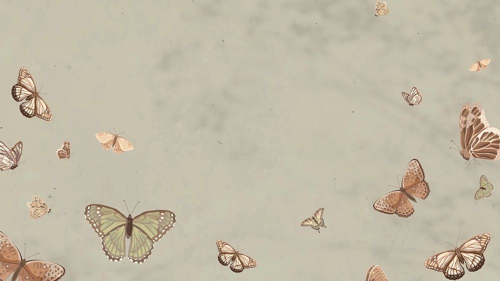 Aesthetic butterfly nature desktop wallpaper