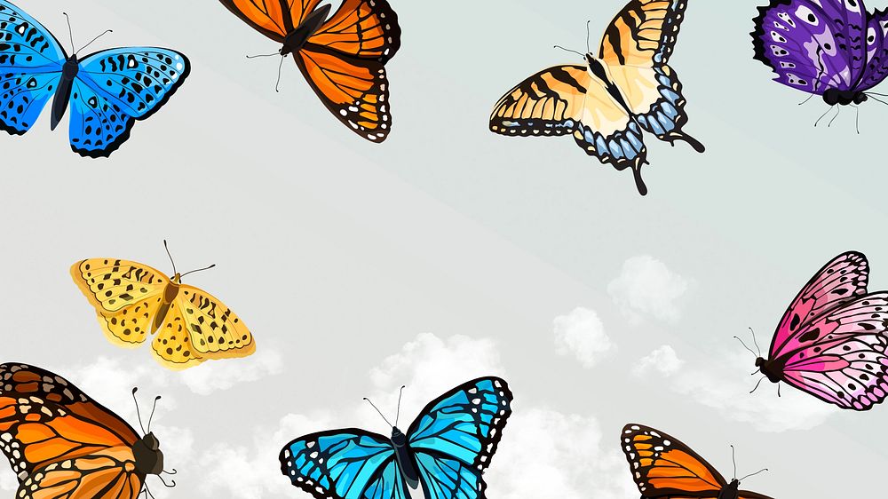 Beautiful butterfly sky desktop wallpaper