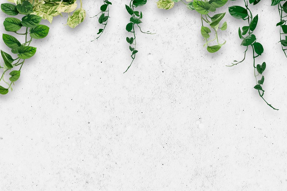 White plant botanical background