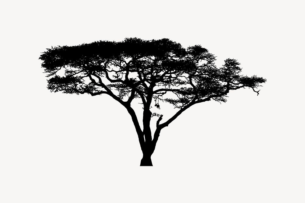 Acacia Tree Silhouette collage element vector