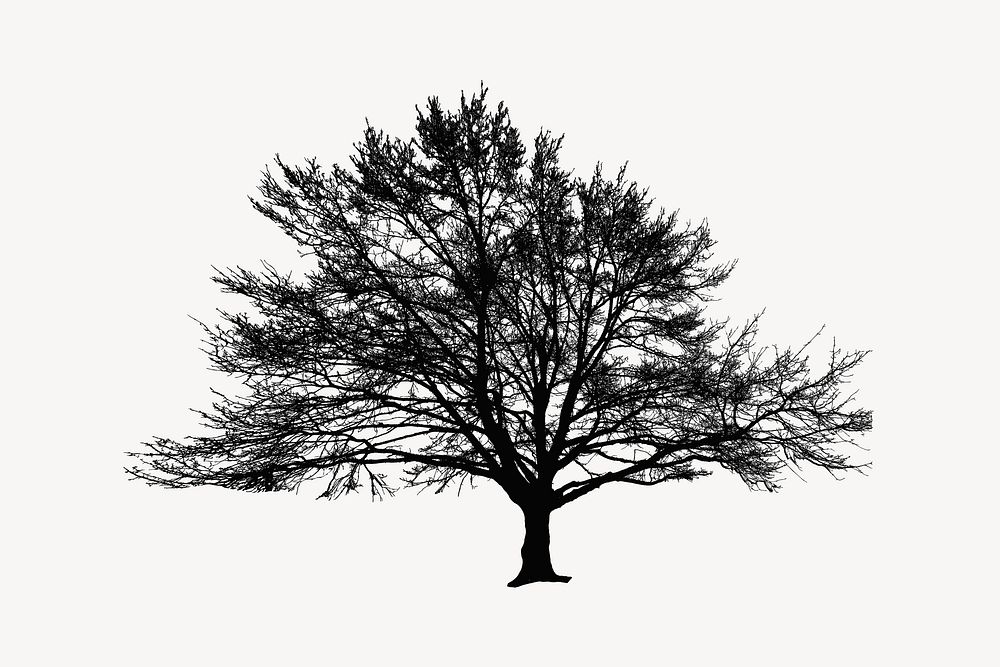 Wide Winter Tree Silhouette collage element vector