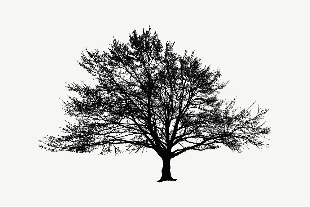 Wide Winter Tree Silhouette clip art psd