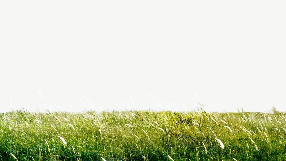 Green field collage element psd
