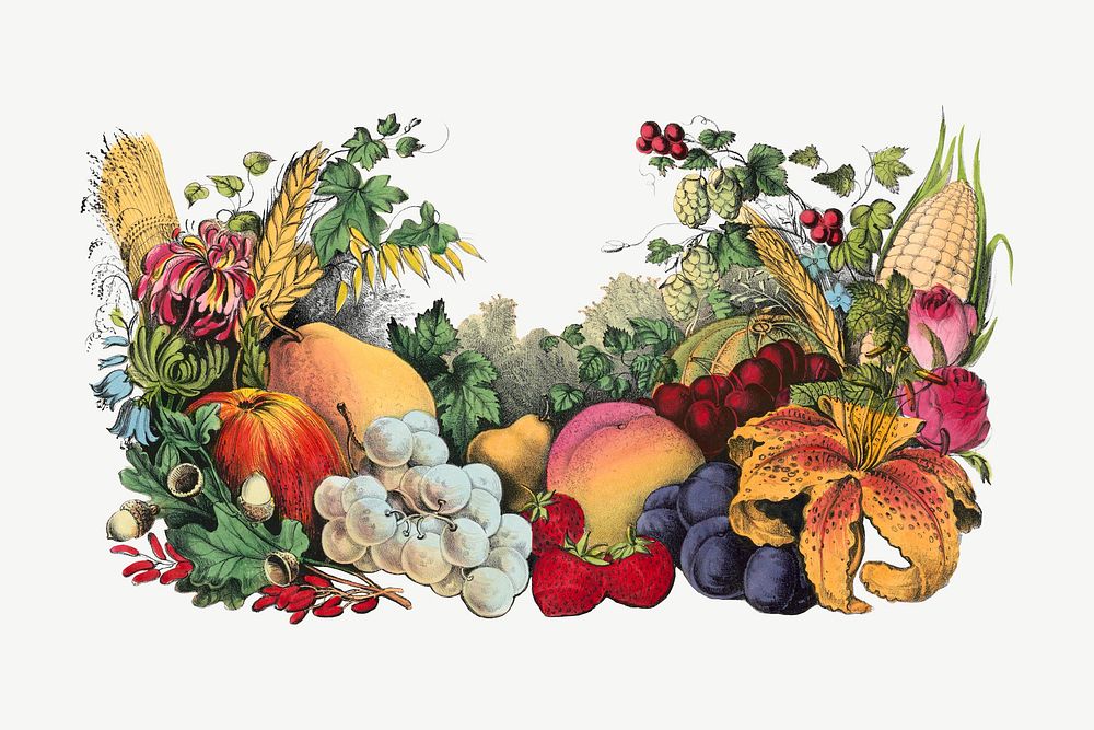 Vintage vegetables chromolithograph art psd. Remixed by rawpixel. 