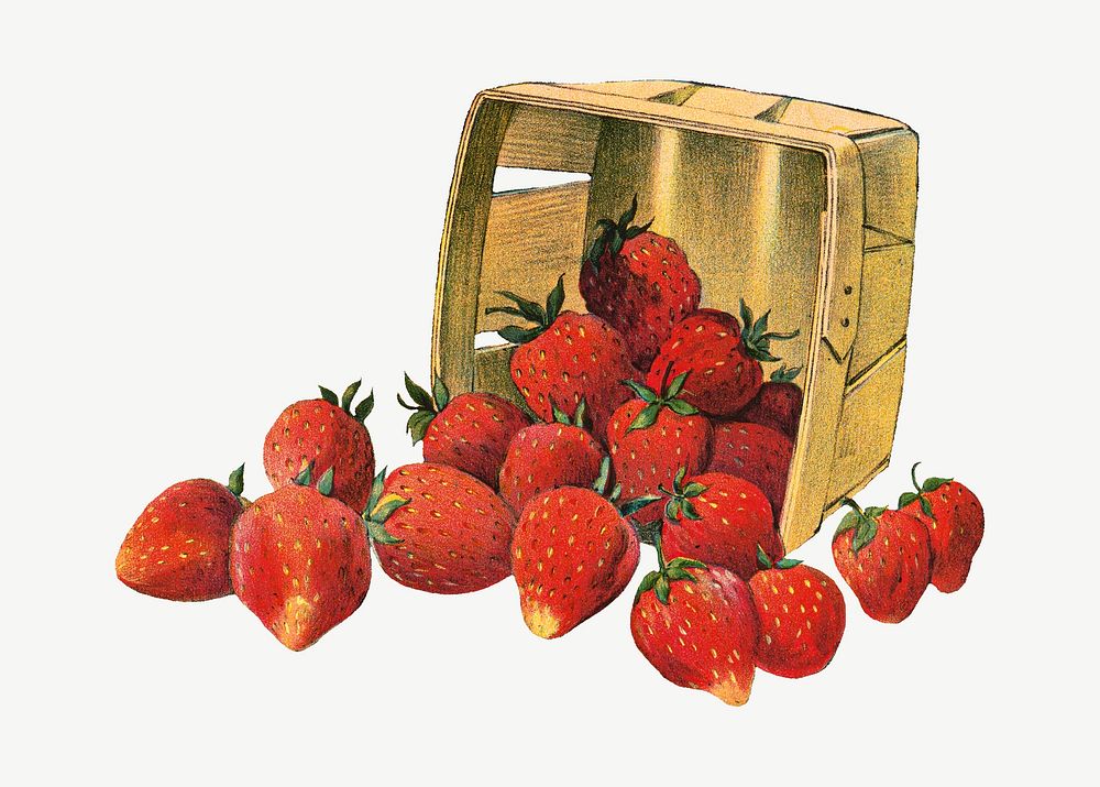 Vintage strawberry basket chromolithograph art psd. Remixed by rawpixel. 