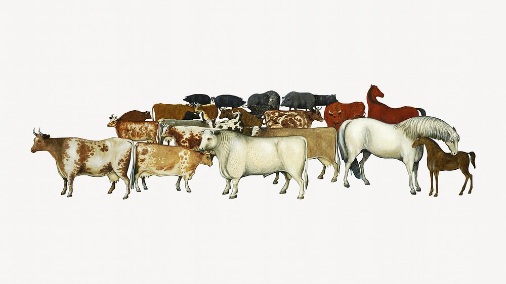 Livestock vintage illustration. Remixed by rawpixel.