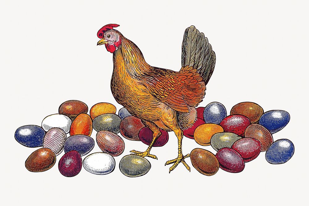 Hen vintage illustration. Remixed by rawpixel. 