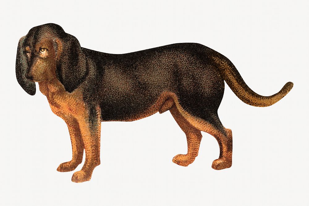 Beagle dog, vintage pet animal illustration by Goodwin & Company. Remixed by rawpixel.