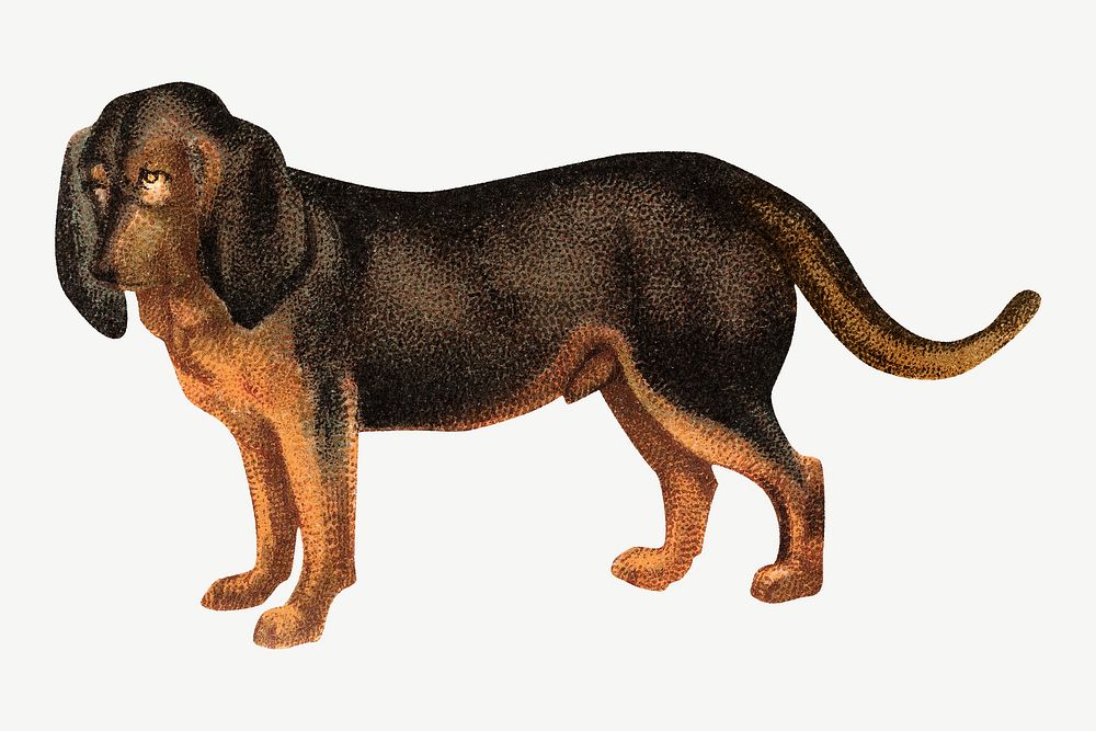 Beagle dog, vintage pet animal illustration by Goodwin & Company psd. Remixed by rawpixel.