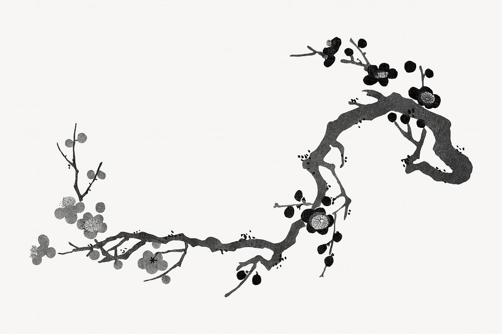 Cherry blossom flower branch, vintage botanical illustration by Ooka Shunboku. Remixed by rawpixel.