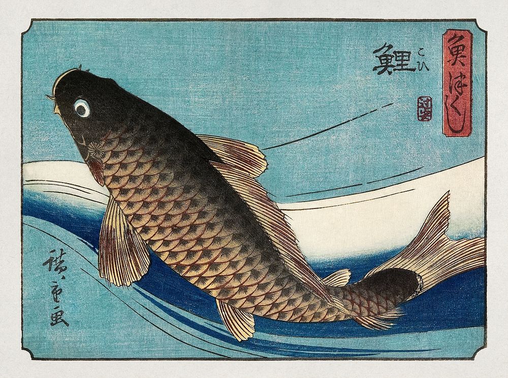 Carp (1835-1839), Japanese fish illustration by Utagawa Hiroshige. Original public domain image from The Minneapolis…