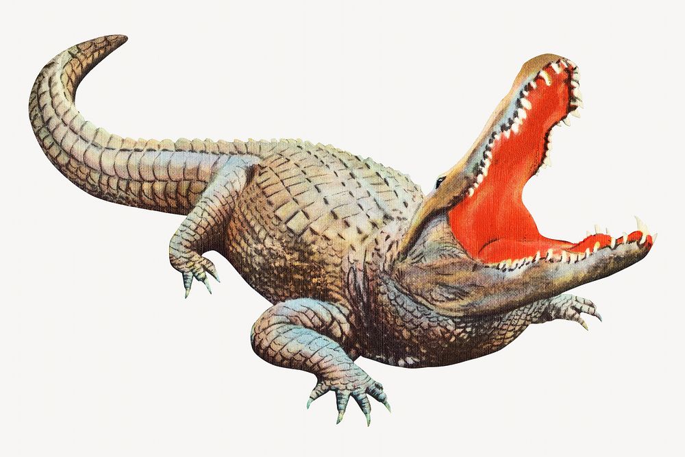 Hungry alligator, vintage animal illustration. Remixed by rawpixel.