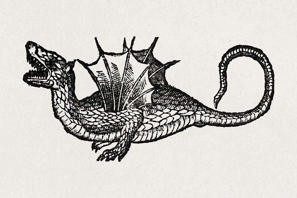 Dragon (1590), vintage mythical creature illustration. Original public domain image from Wikimedia Commons. Digitally…
