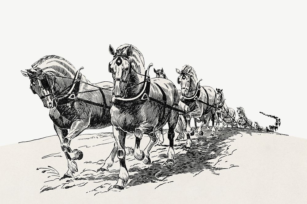 Horses border vintage illustration psd. Remixed by rawpixel. 