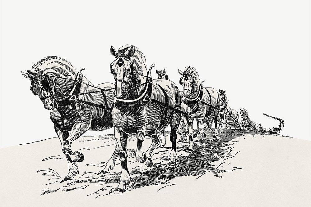 Horses vintage illustration. Remixed by rawpixel. 