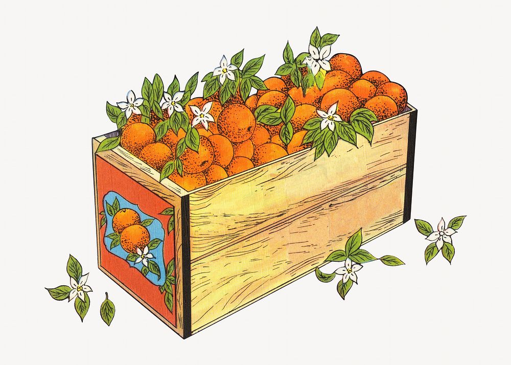 Vintage box of oranges chromolithograph illustration. Remixed by rawpixel.