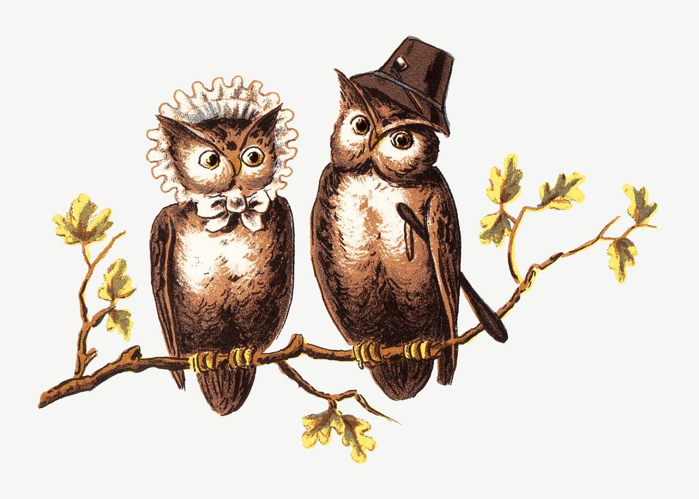 Vintage owl bird, animal illustration psd. Remixed by rawpixel.