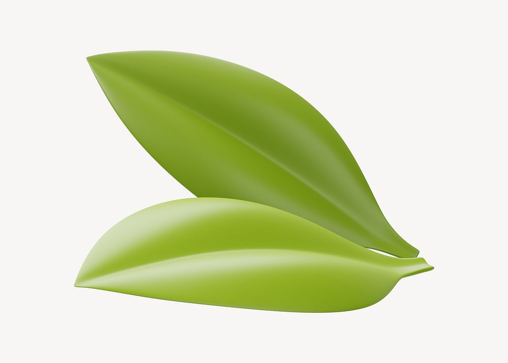 3D green tea leaf, element illustration