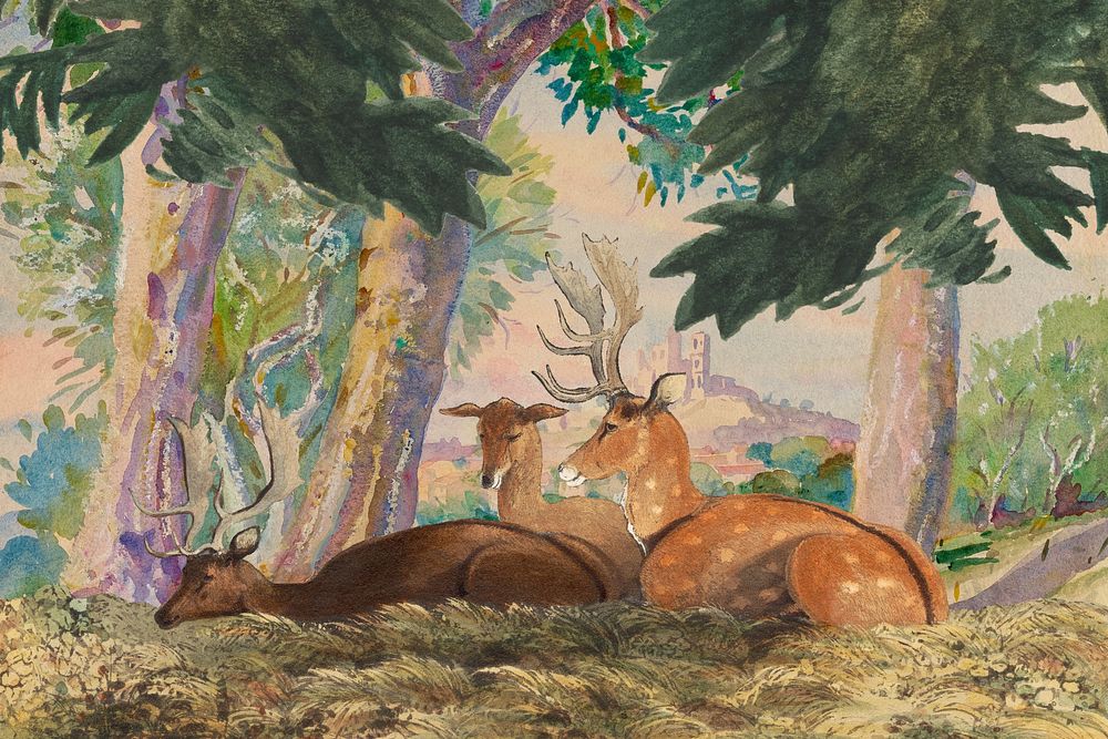 Watercolor deer in forest. Remixed by rawpixel.