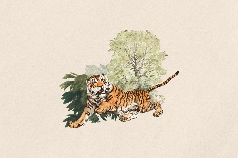 Watercolor tiger collage element. Remixed by rawpixel.