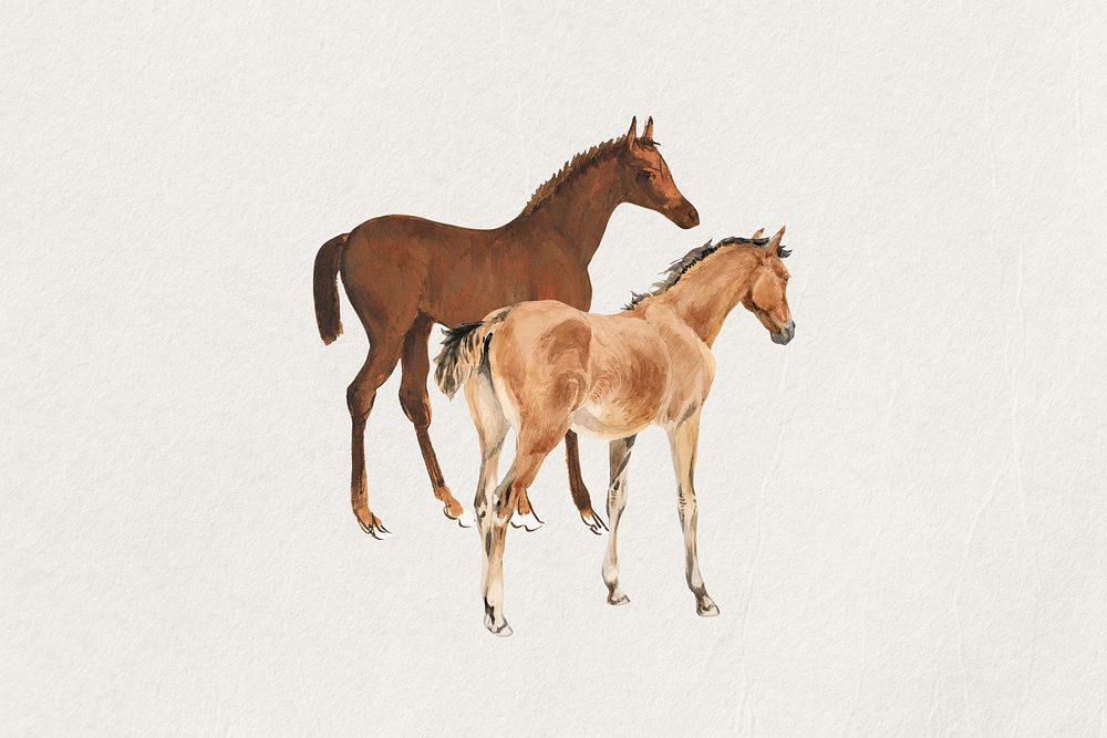Watercolor  horse foals collage element. Remixed by rawpixel.