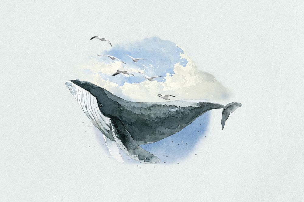 Watercolor humpback whale, environment collage element. Remixed by rawpixel.