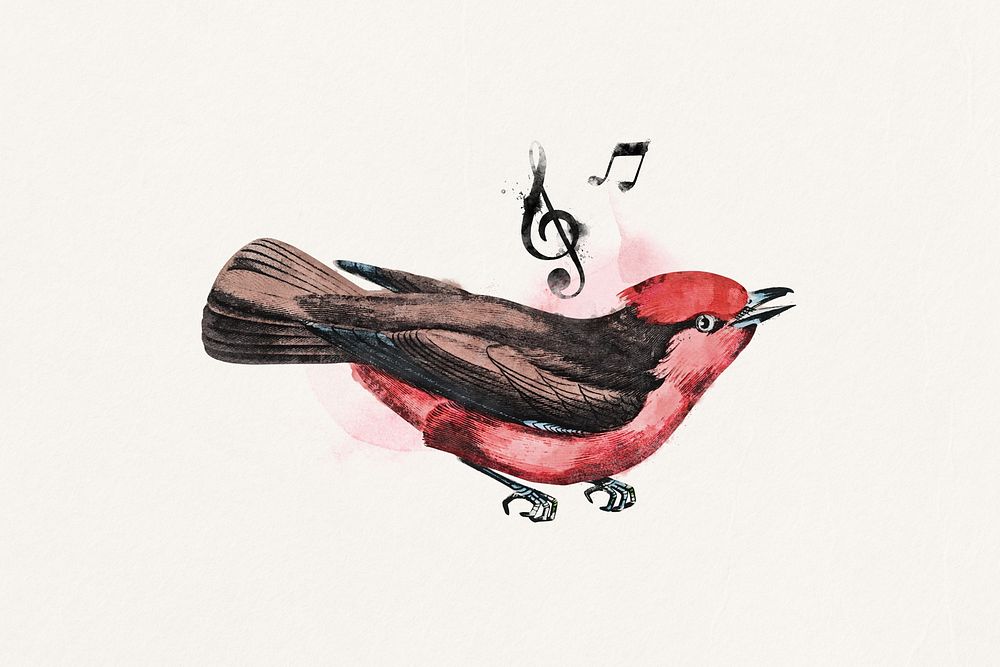 Watercolor singing bird collage element. Remixed by rawpixel.