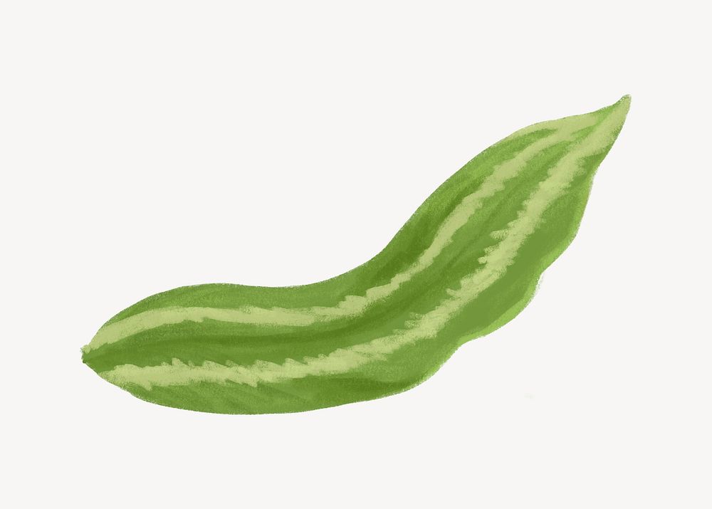 Tropical green leaf illustration