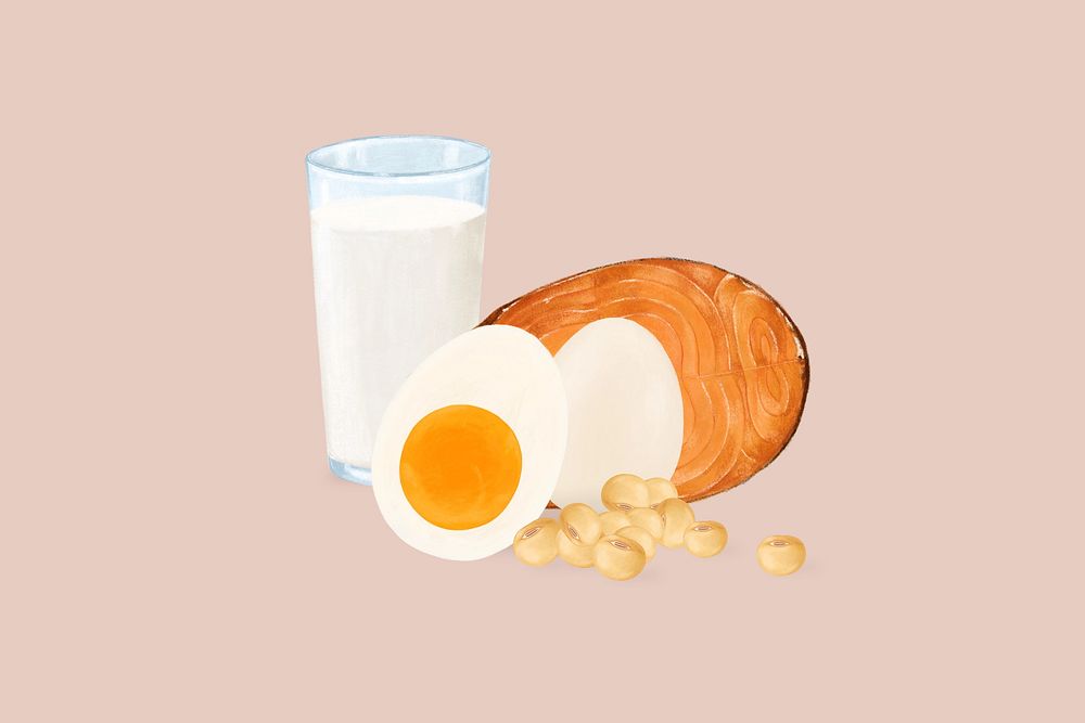 Protein nutrition aesthetic illustration background
