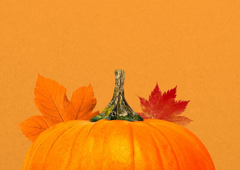 Autumn pumpkin aesthetic background, maple leaf border