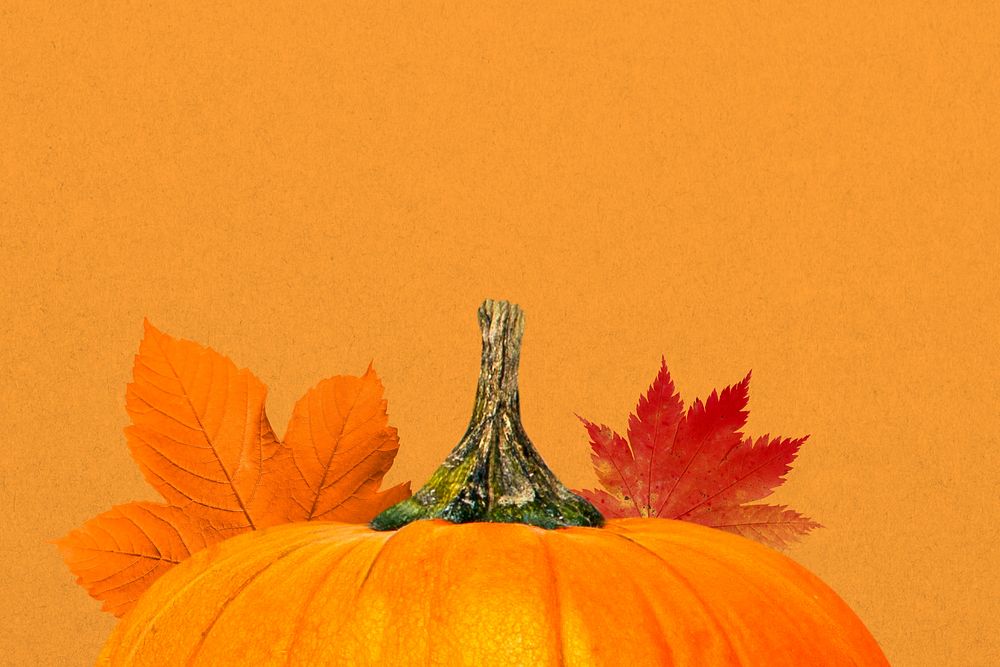 Autumn pumpkin aesthetic background, maple leaf border