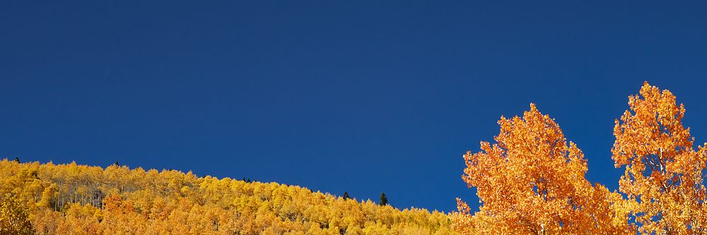 Autumn meadow border background, blue sky image