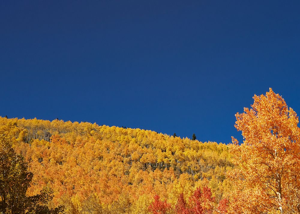 Autumn meadow border background, blue sky image