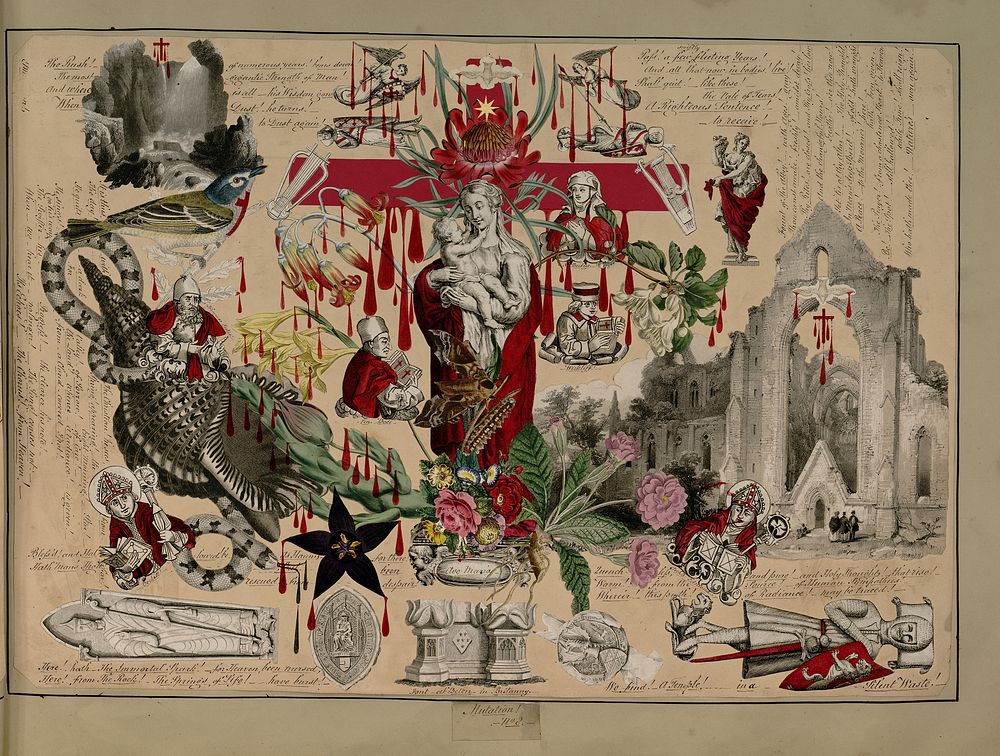 Victorian Blood Book (1854) by John Bingley Garland