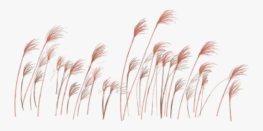 Red reed grass  psd, paint texture