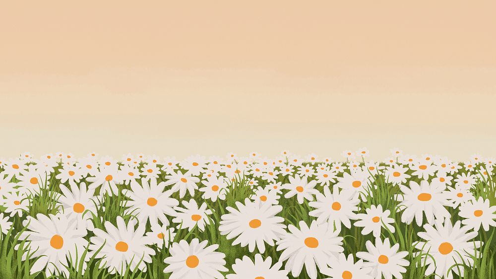 Daisy sunset landscape desktop wallpaper, painting  illustration