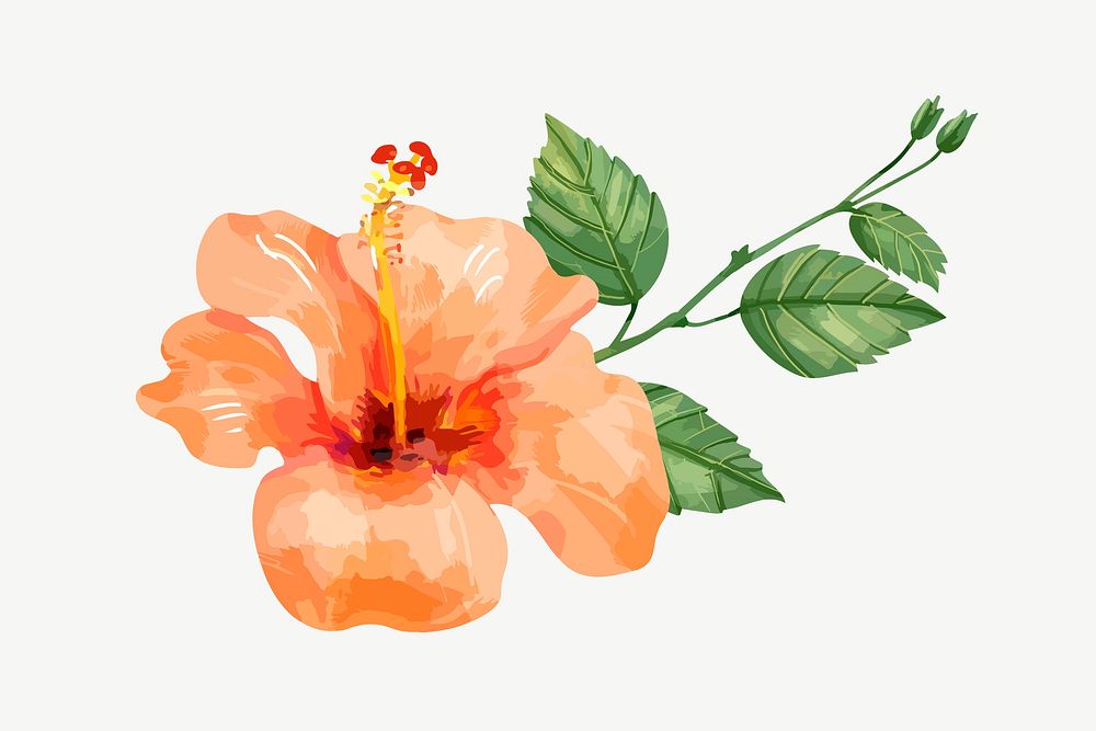 Watercolor orange hibiscus flower collage element psd