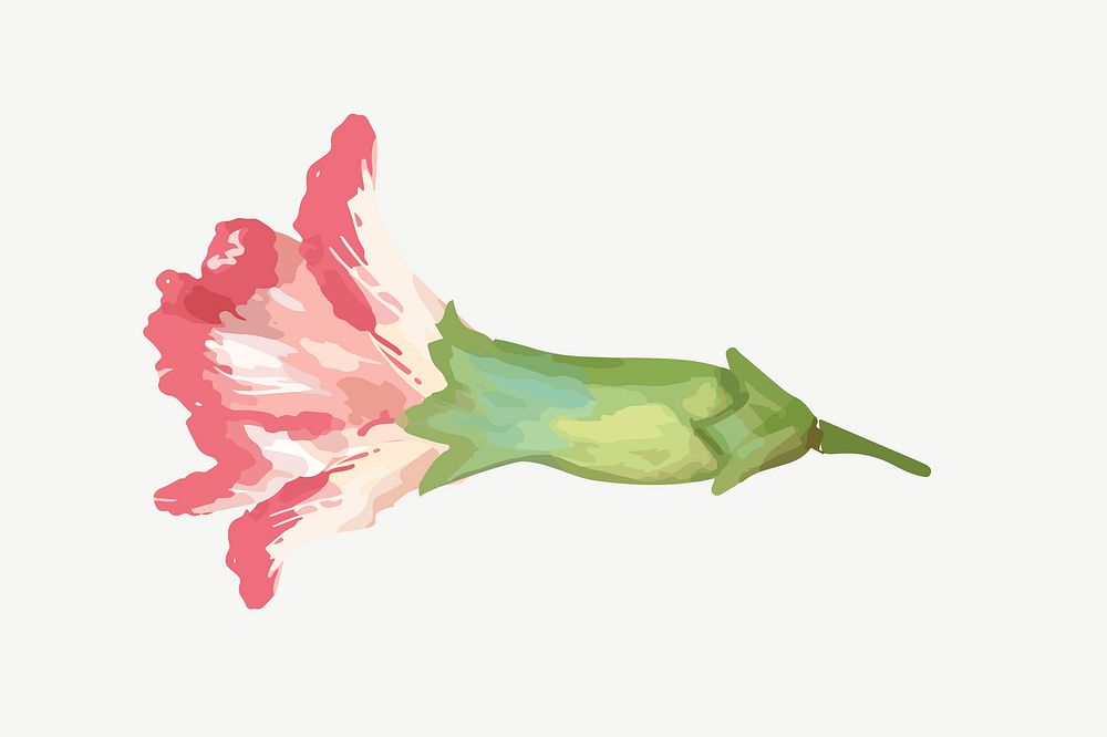 Watercolor carnation flower collage element psd