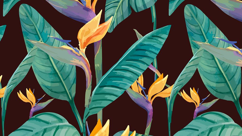 Watercolor bird of paradise desktop wallpaper
