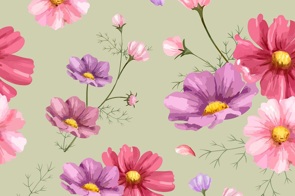 Watercolor pink cosmos flower background