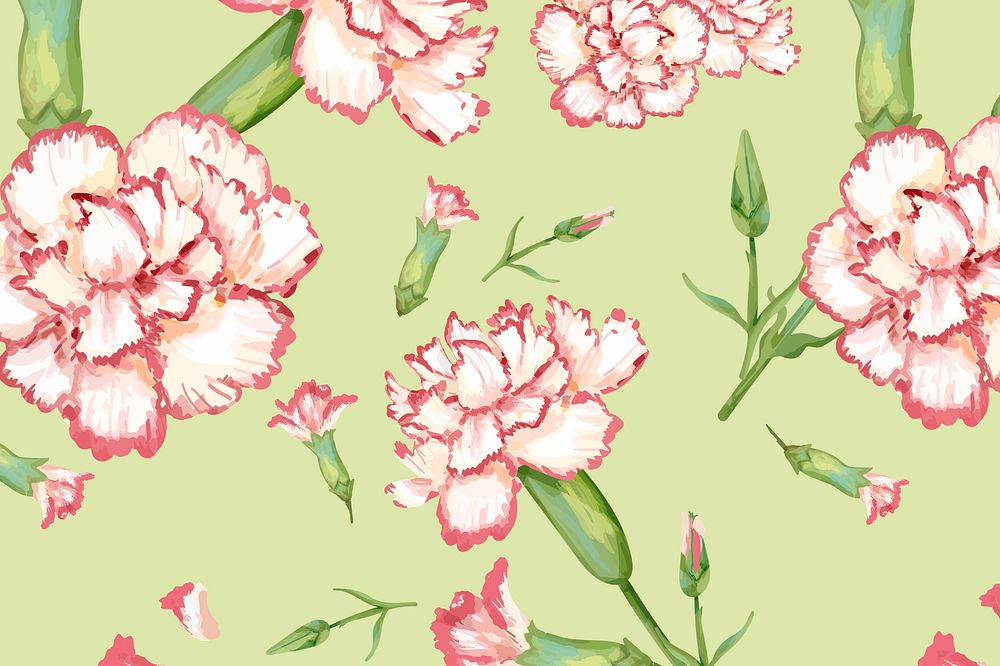 Watercolor carnation flower background