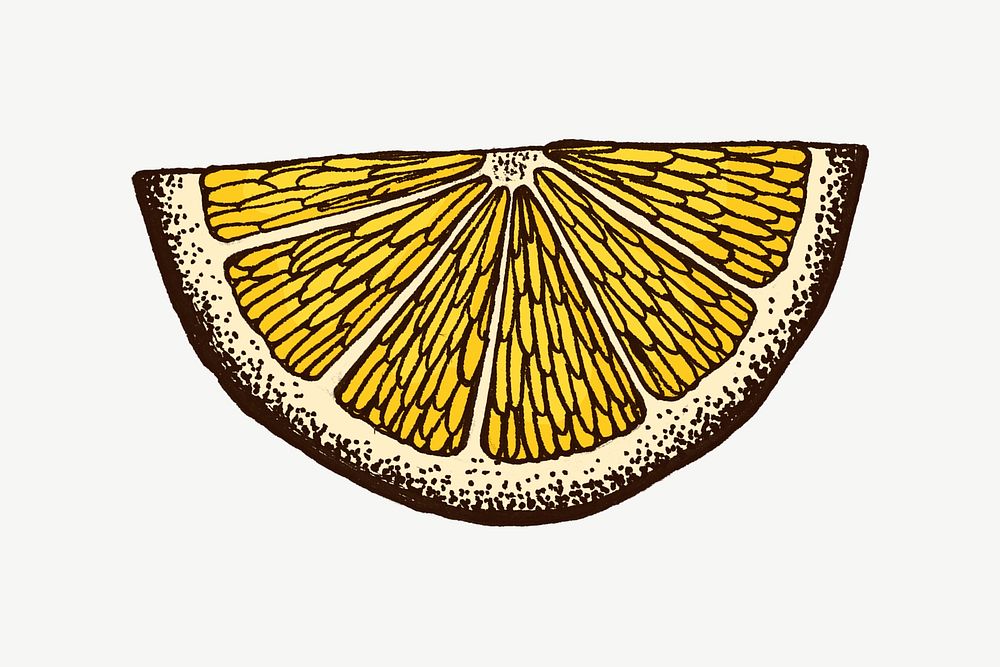 Lemon vintage illustration, collage element psd