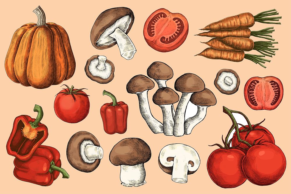 Autumn vegetable vintage illustration, collage element set psd
