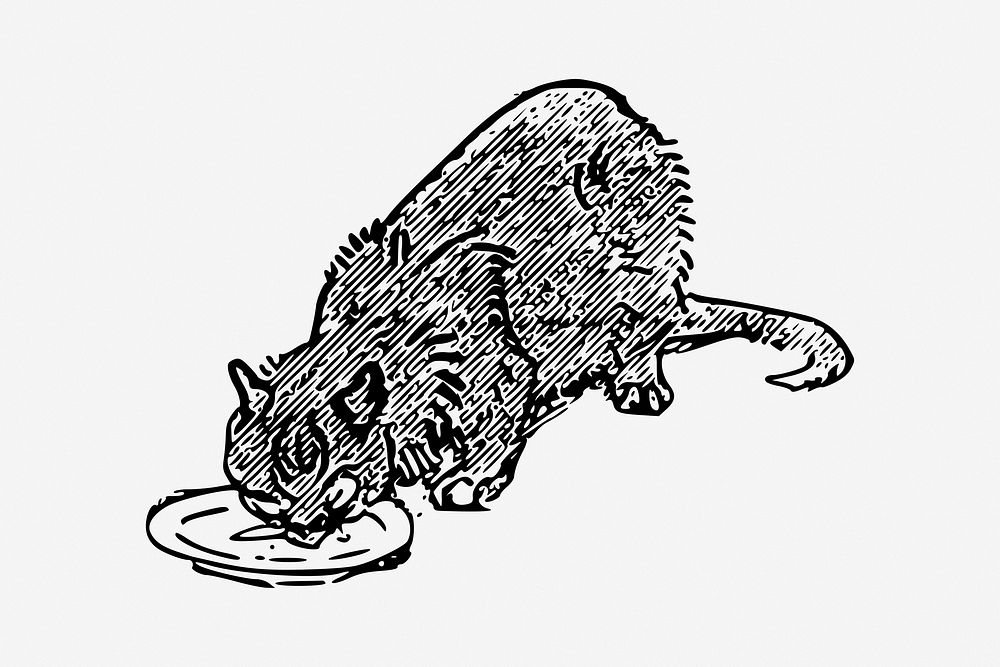 Cat eating vintage illustration vector. Free public domain CC0 image.