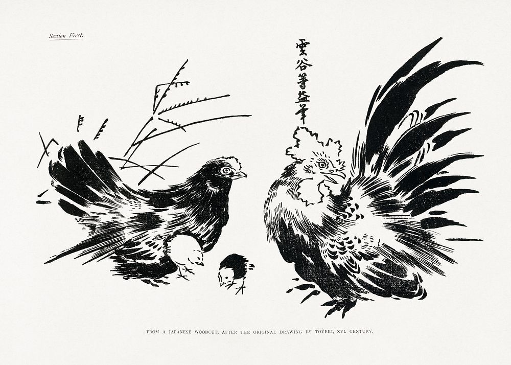 Japanese chickens, ink animal illustration by Toyeki. Public domain image from our own original 1884 edition of The…