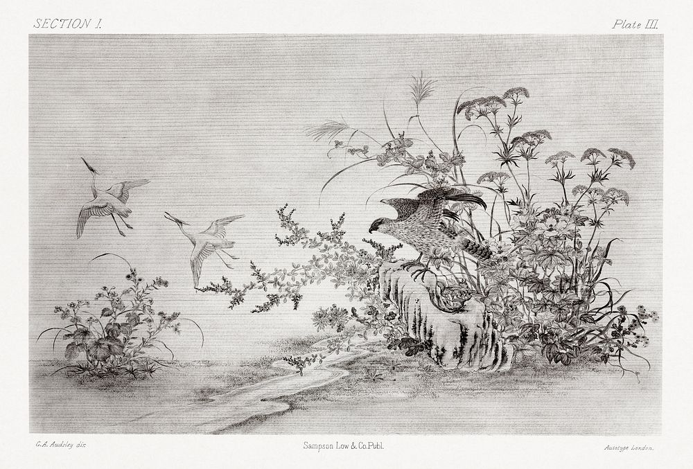 Black ink painting of birds and plants, traditional painting by G.A. Audsley-Japanese illustration. Public domain image from…