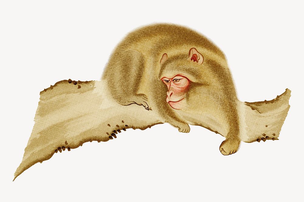 Monkey, vintage animal painting by G.A. Audsley-Japanese illustration. Remixed by rawpixel.