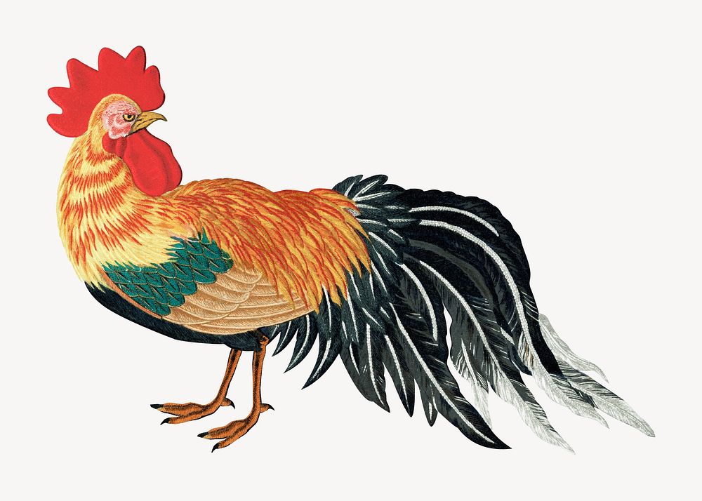 Rooster chicken, vintage animal by G.A. Audsley-Japanese illustration. Remixed by rawpixel.