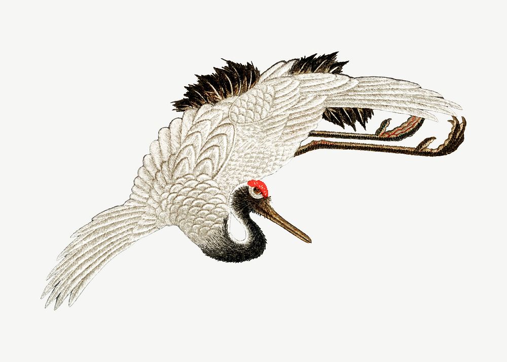 Sarus crane flying, vintage animal by G.A. Audsley-Japanese illustration psd. Remixed by rawpixel.