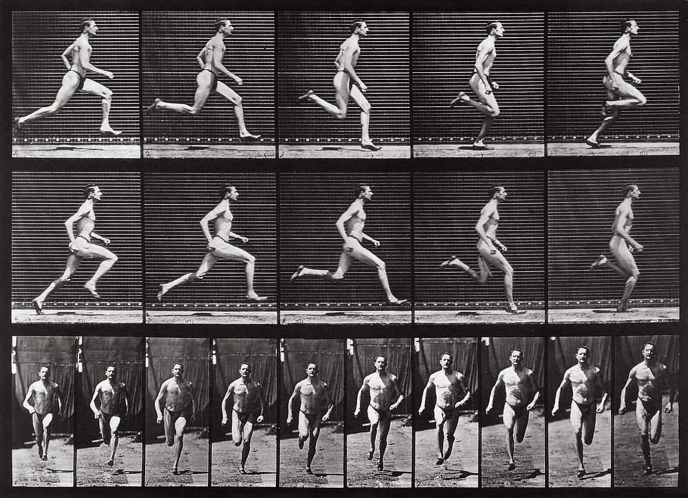 Animal Locomotion Plate 60 (1887) photographed  by Eadweard Muybridge. Original public domain image from The Minneapolis…